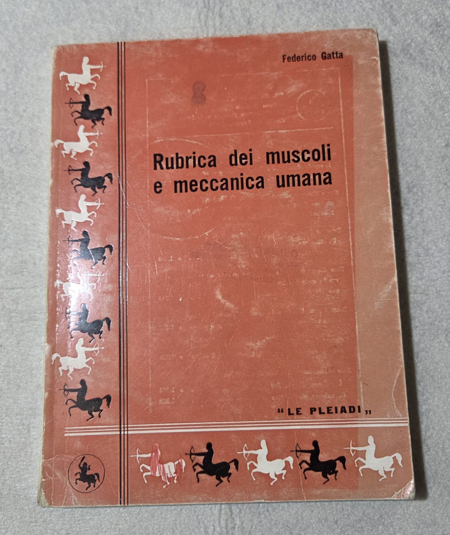 Rubrica dei muscoli e meccanica umana