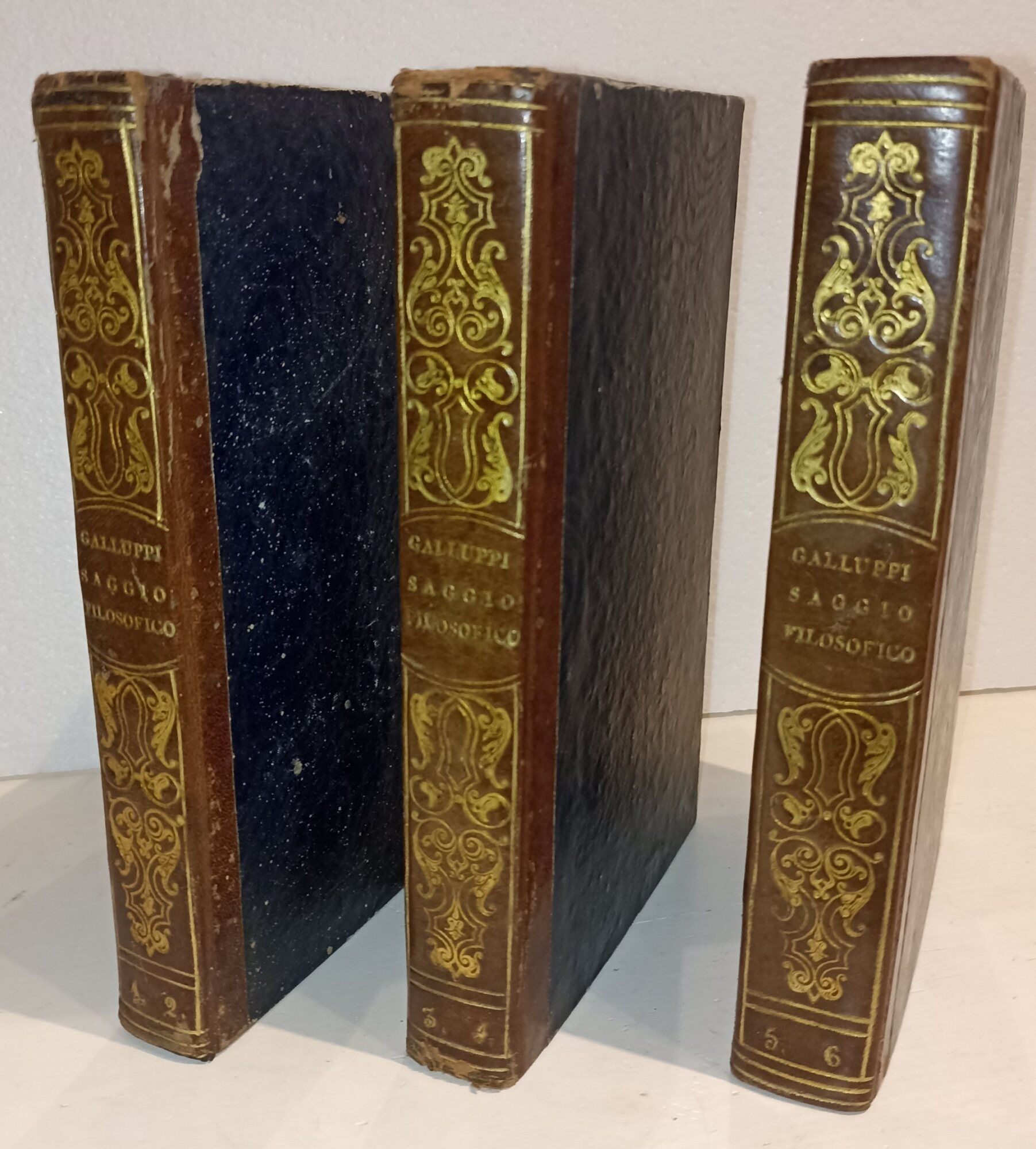 Saggio filosofico sulla critica della conoscenza...