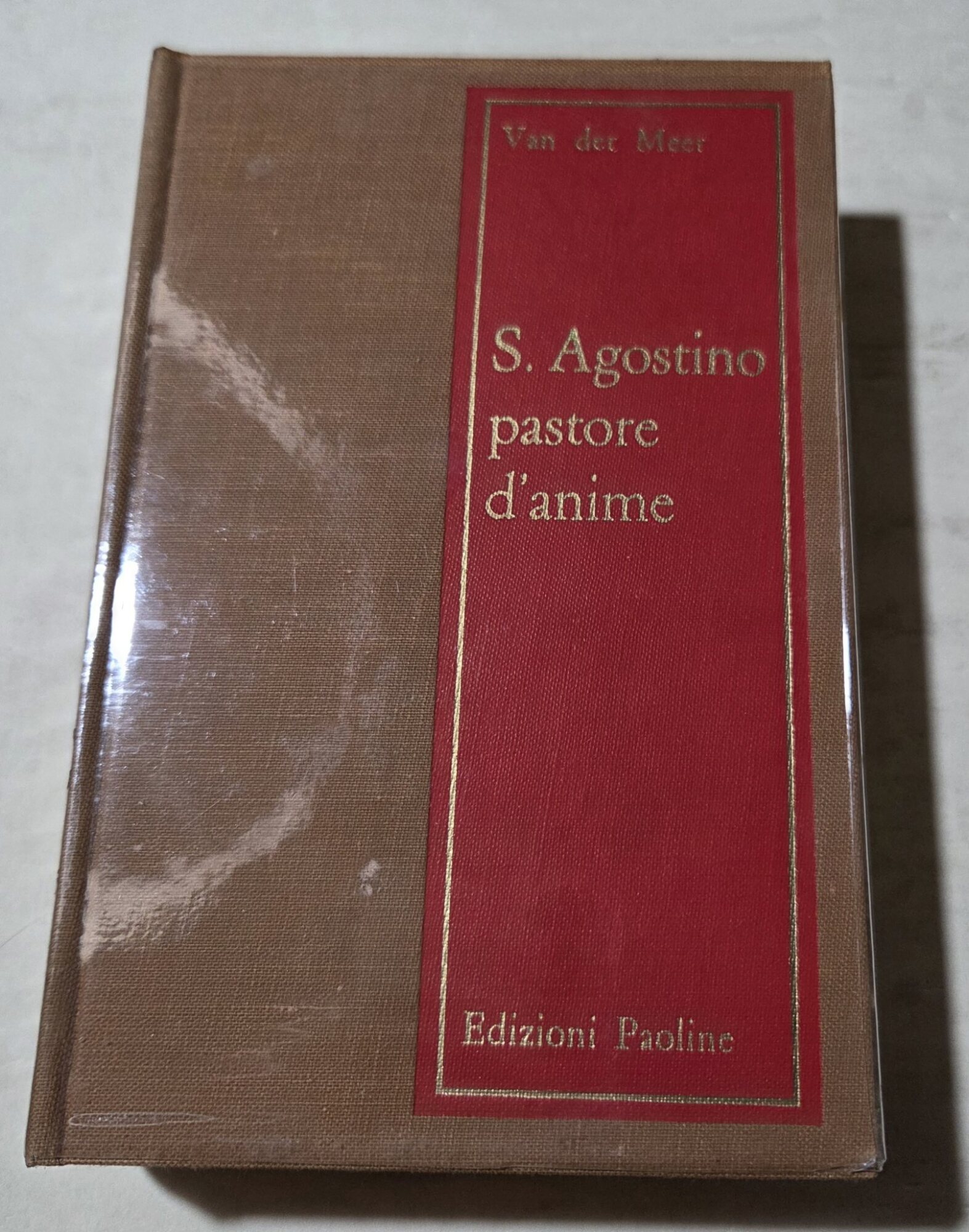 Sant'Agostino pastore d'anime