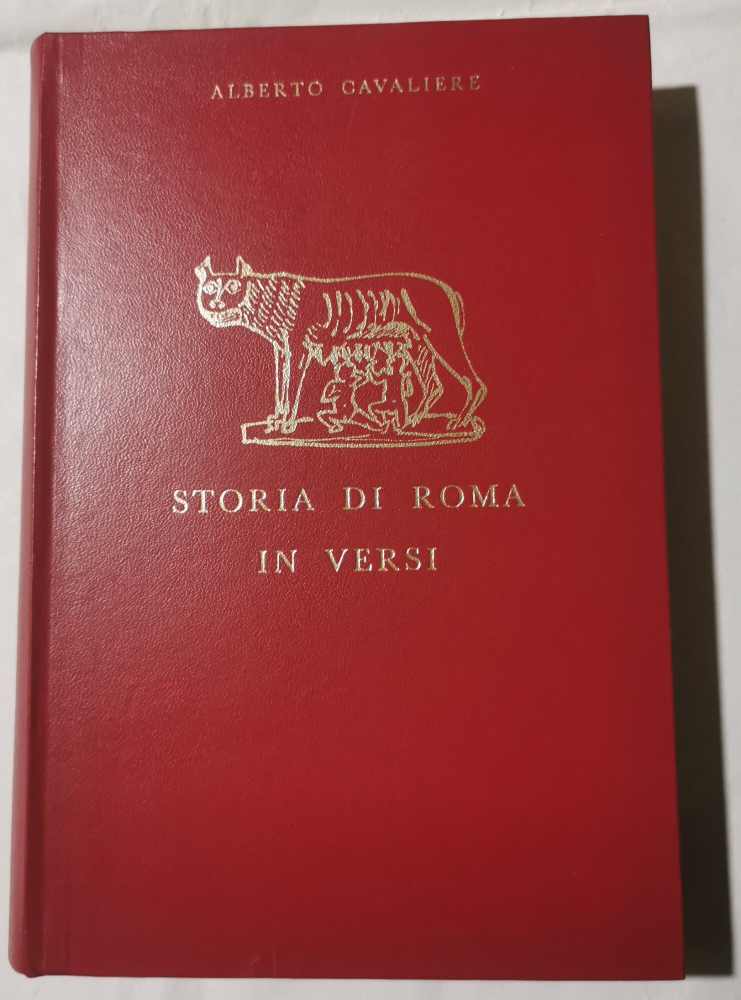 Storia di Roma in versi