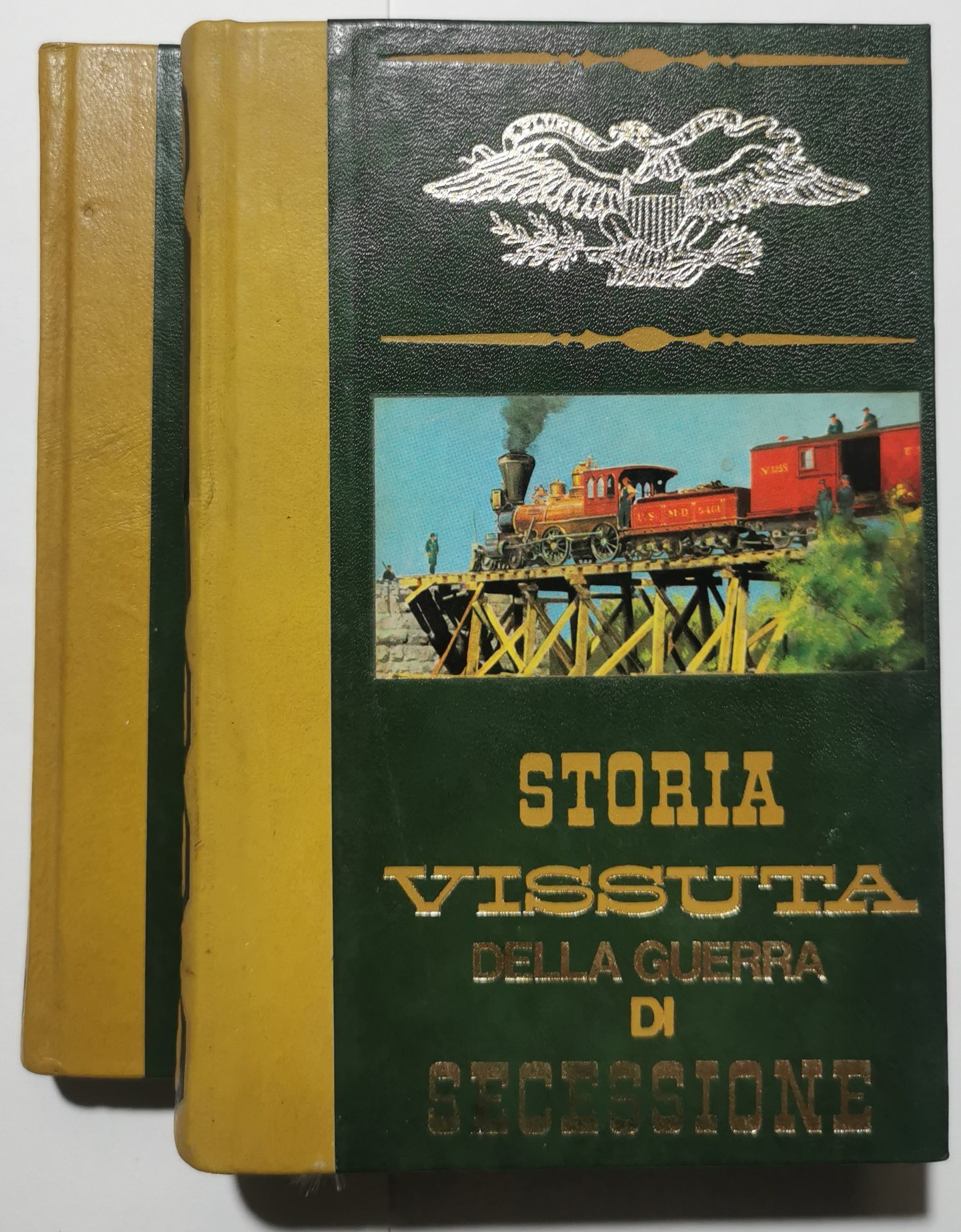 Storia vissuta della Guerra di Secessione - 2 Voll