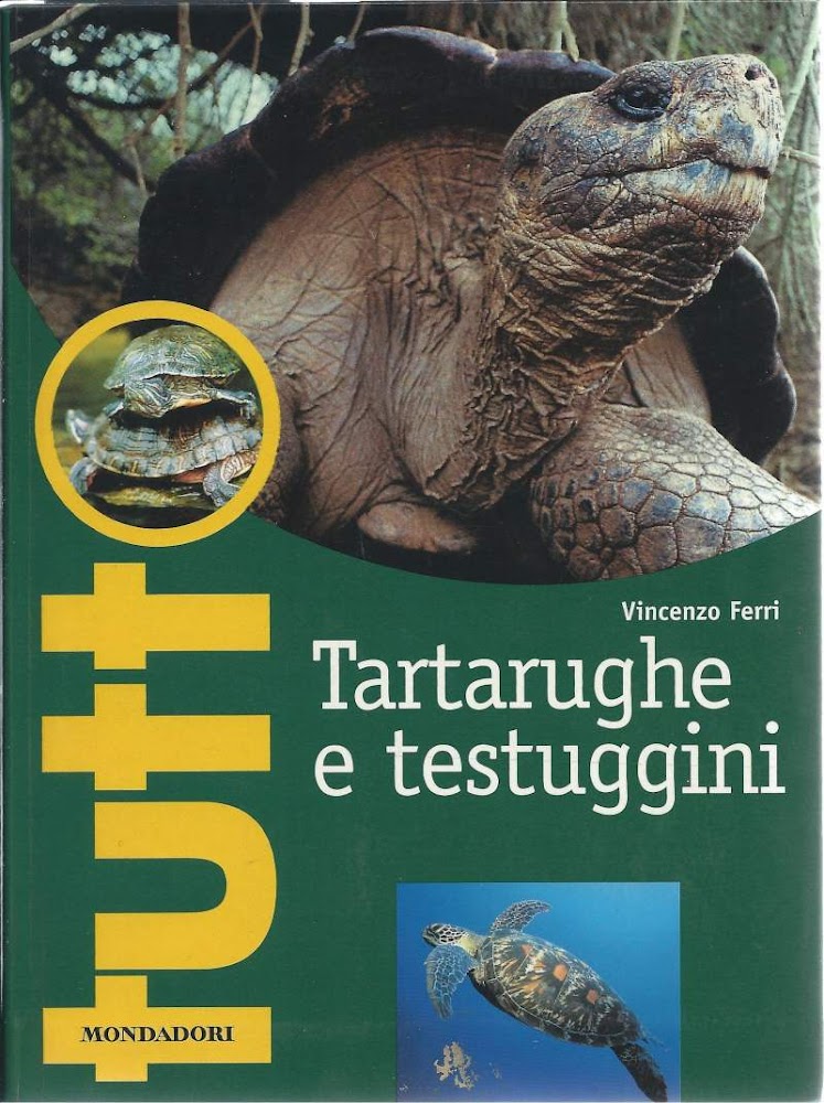 TARTARUGHE E TESTUGGINI