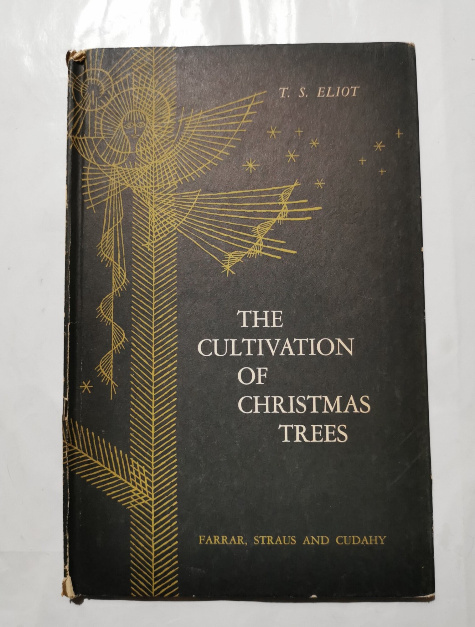 The coltivation of Christmas trees
