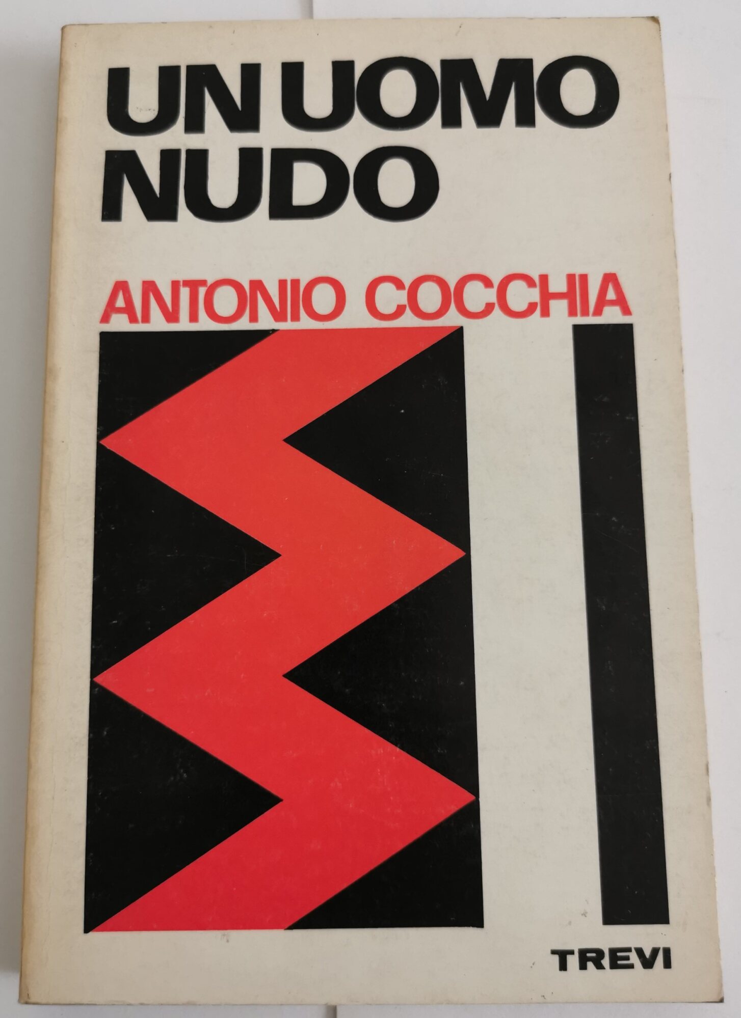 Un uomo nudo