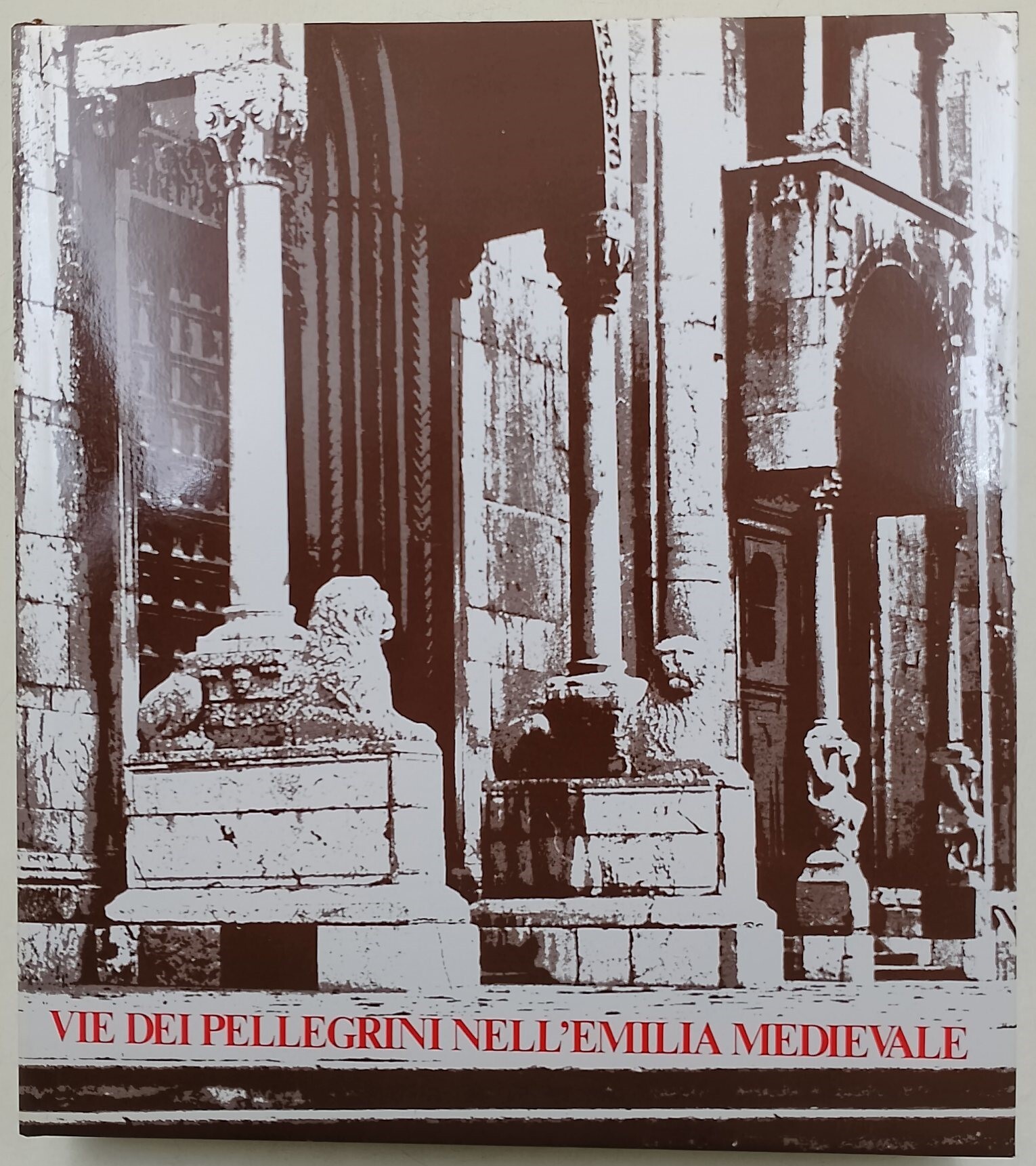 Vie dei pellegrini nell'Emilia medievale