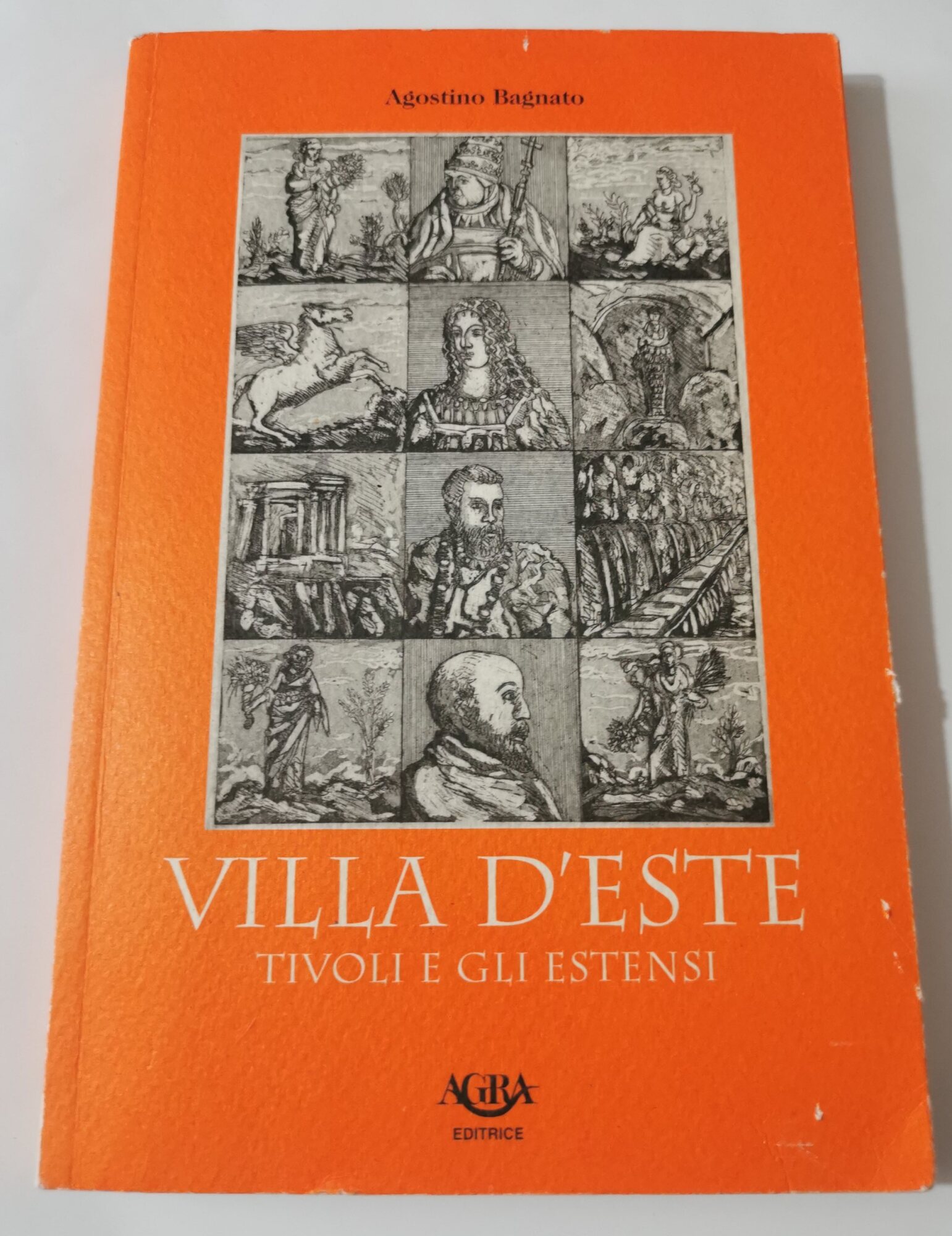 Villa d'Este - Tivoli e gli Estensi