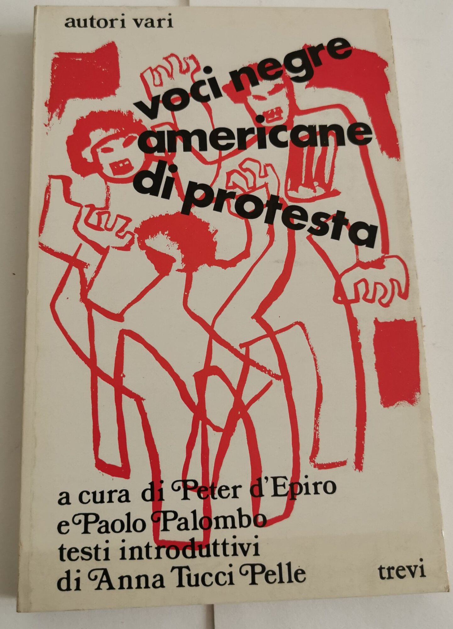 Voci negre americane di protesta