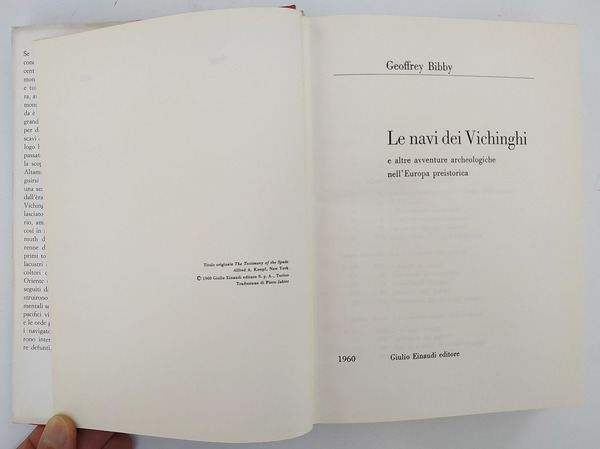 Le navi dei vichinghi