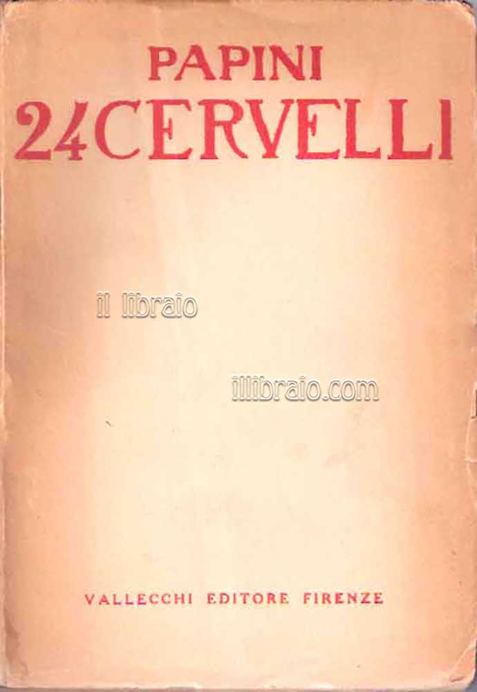 24 cervelli