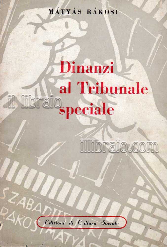 Dinanzi altribunale speciale