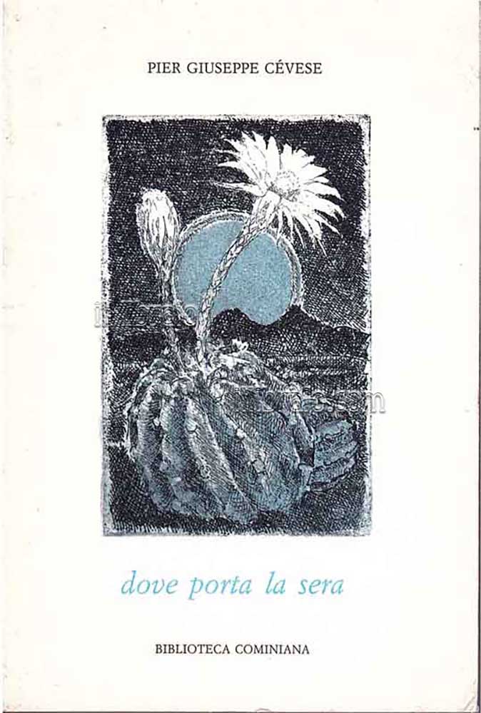 Dove porta la sera