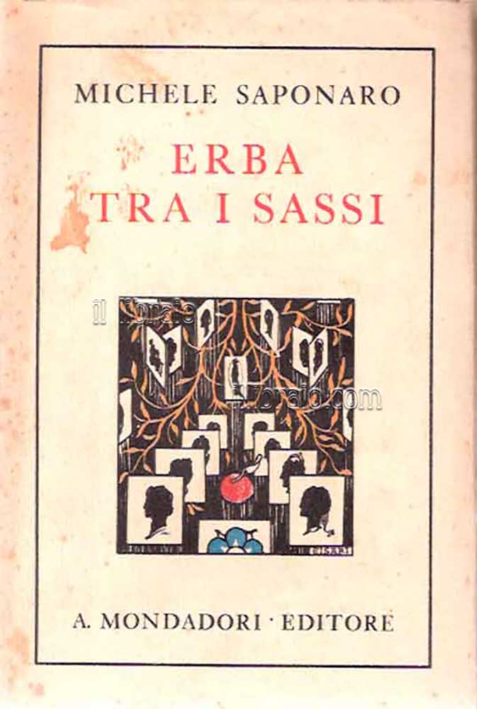 Erba tra i sassi