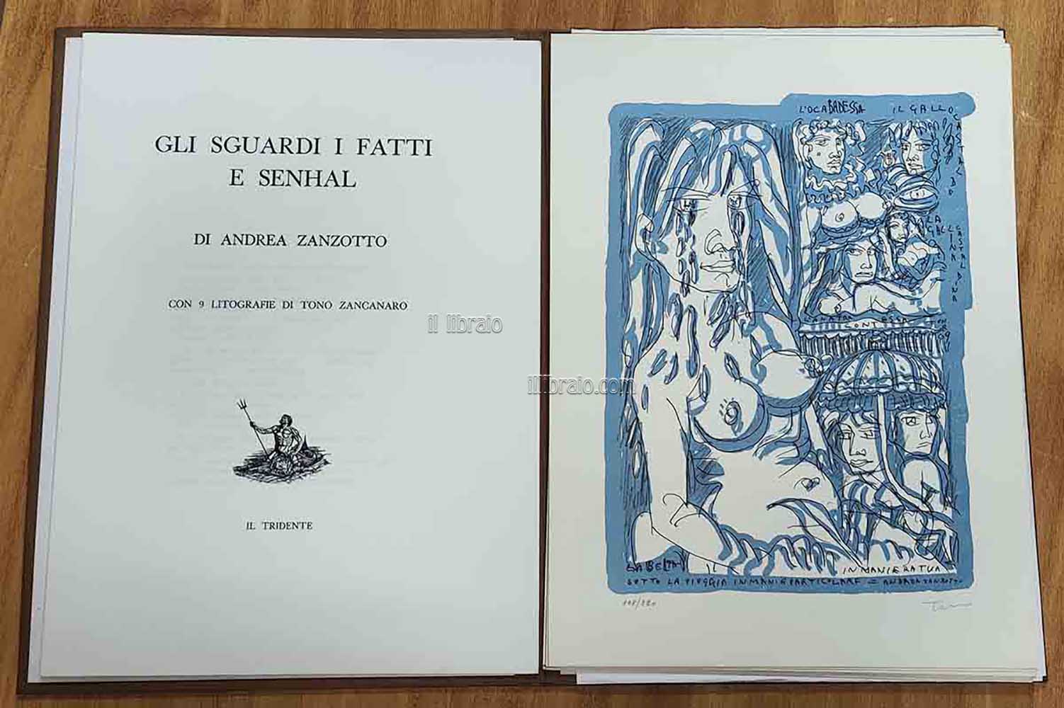 Gli sguardi i fatti e Senhal