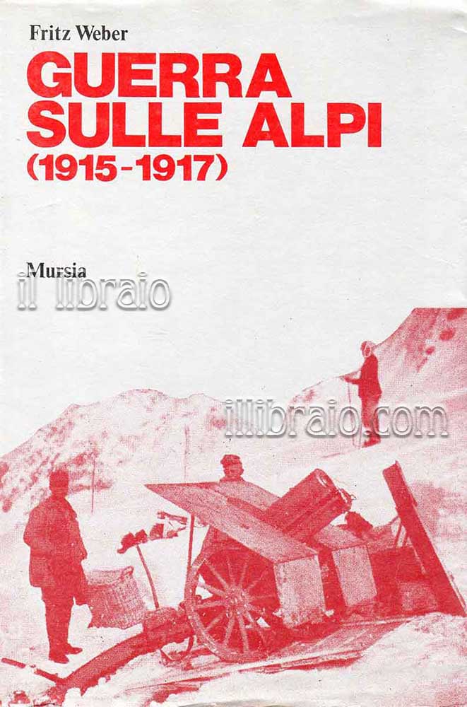 Guerra sulle Alpi (1915 - 1917)