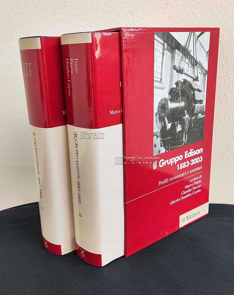 Il Gruppo Edison: 1883 - 2003. Profili economici e societari