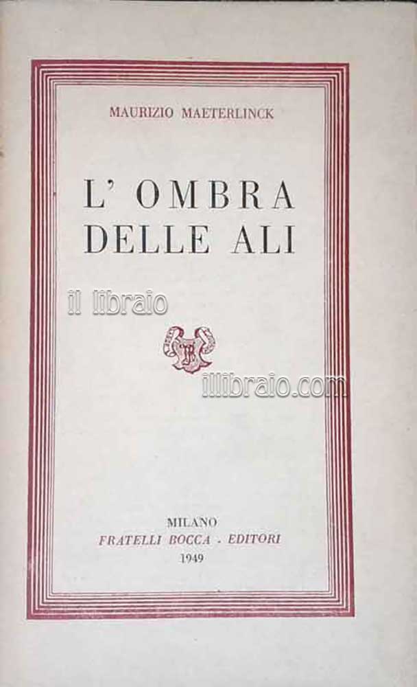 L'ombra delle ali