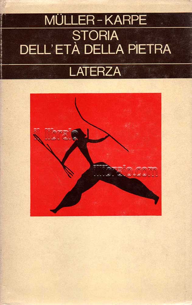 Storia dell'età della pietra