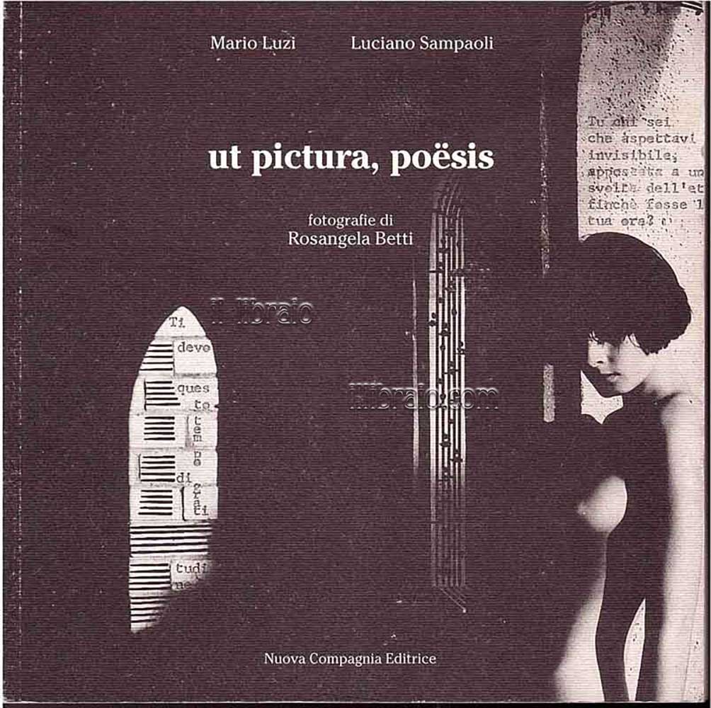 Ut pictura, poesis