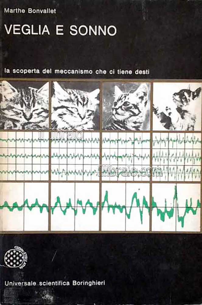 Veglia e sonno. La scoperta del meccanismo che ci tiene …