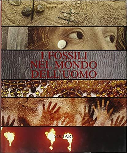 I FOSSILI NEL MONDO DELL'UOMO