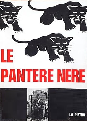 LE PANTERE NERE