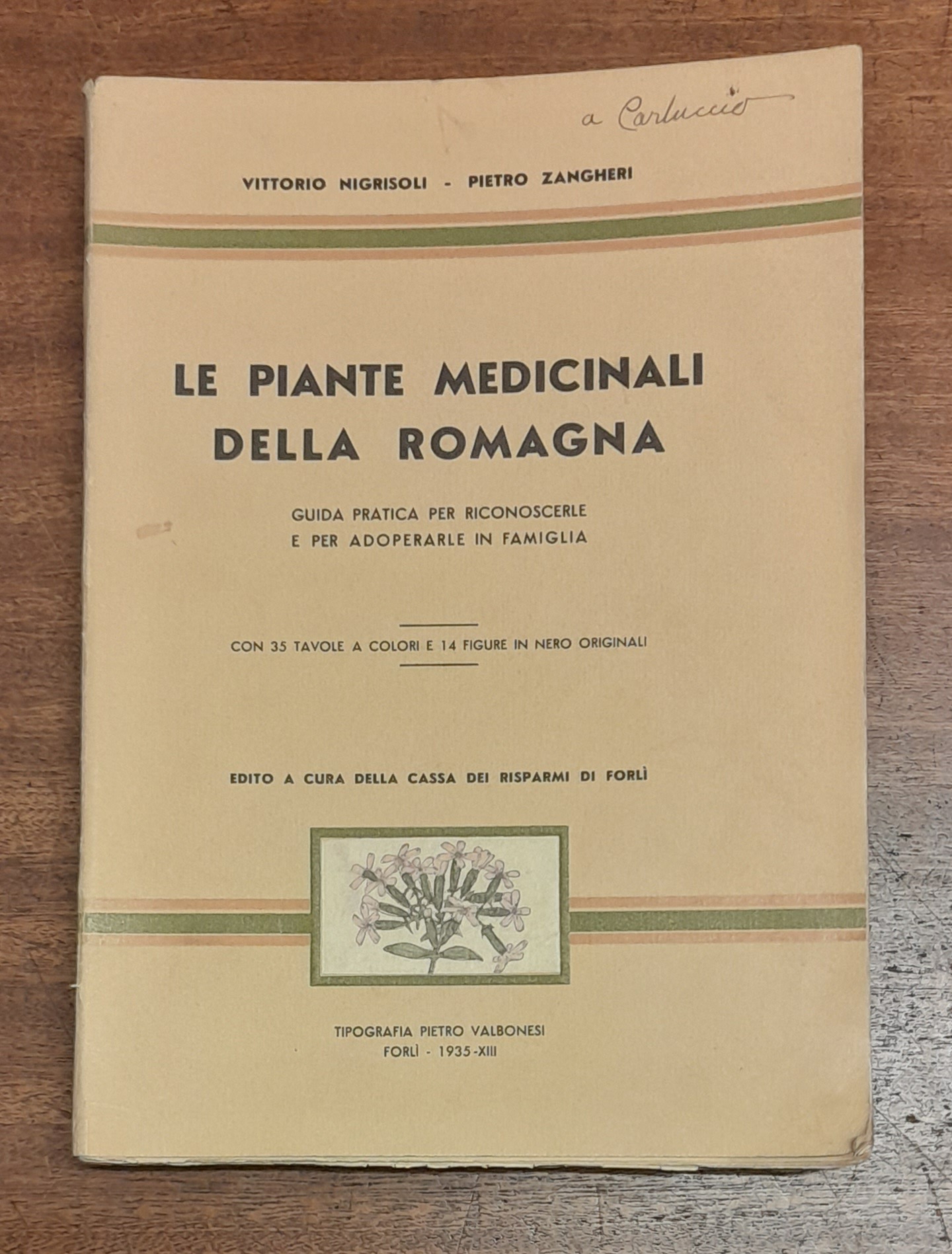 LE PIANTE MEDICINALI DELLA ROMAGNA. Guida pratica per riconoscerle e …