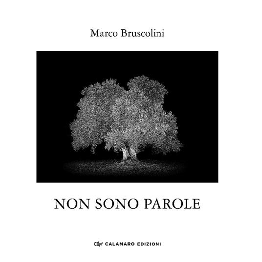 NON SONO PAROLE. Quasi un rifugio dall'ansia della xylella. Ediz. …
