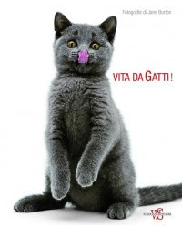 VITA DA GATTI!