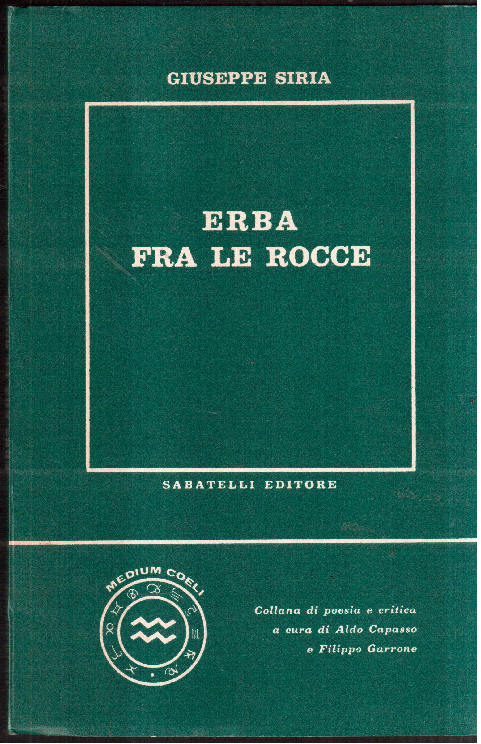 Erba fra le rocce-Poesie