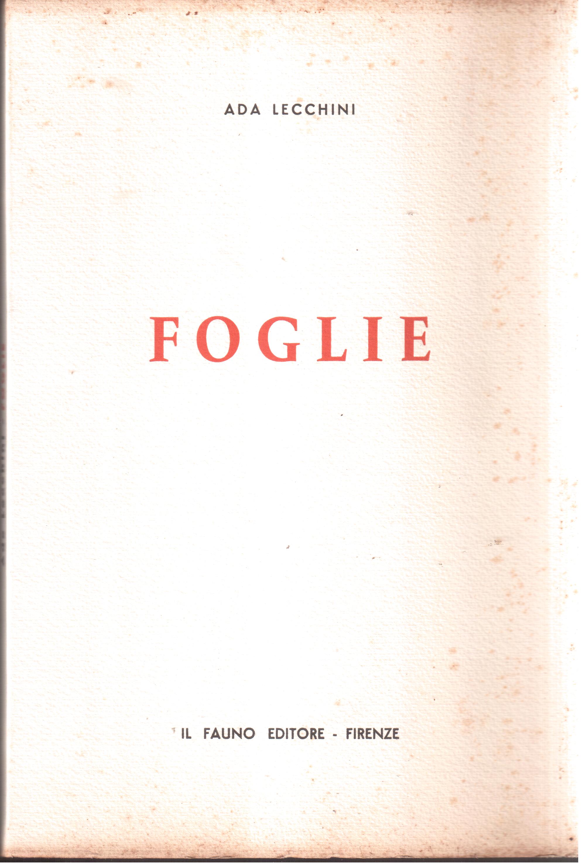 Foglie