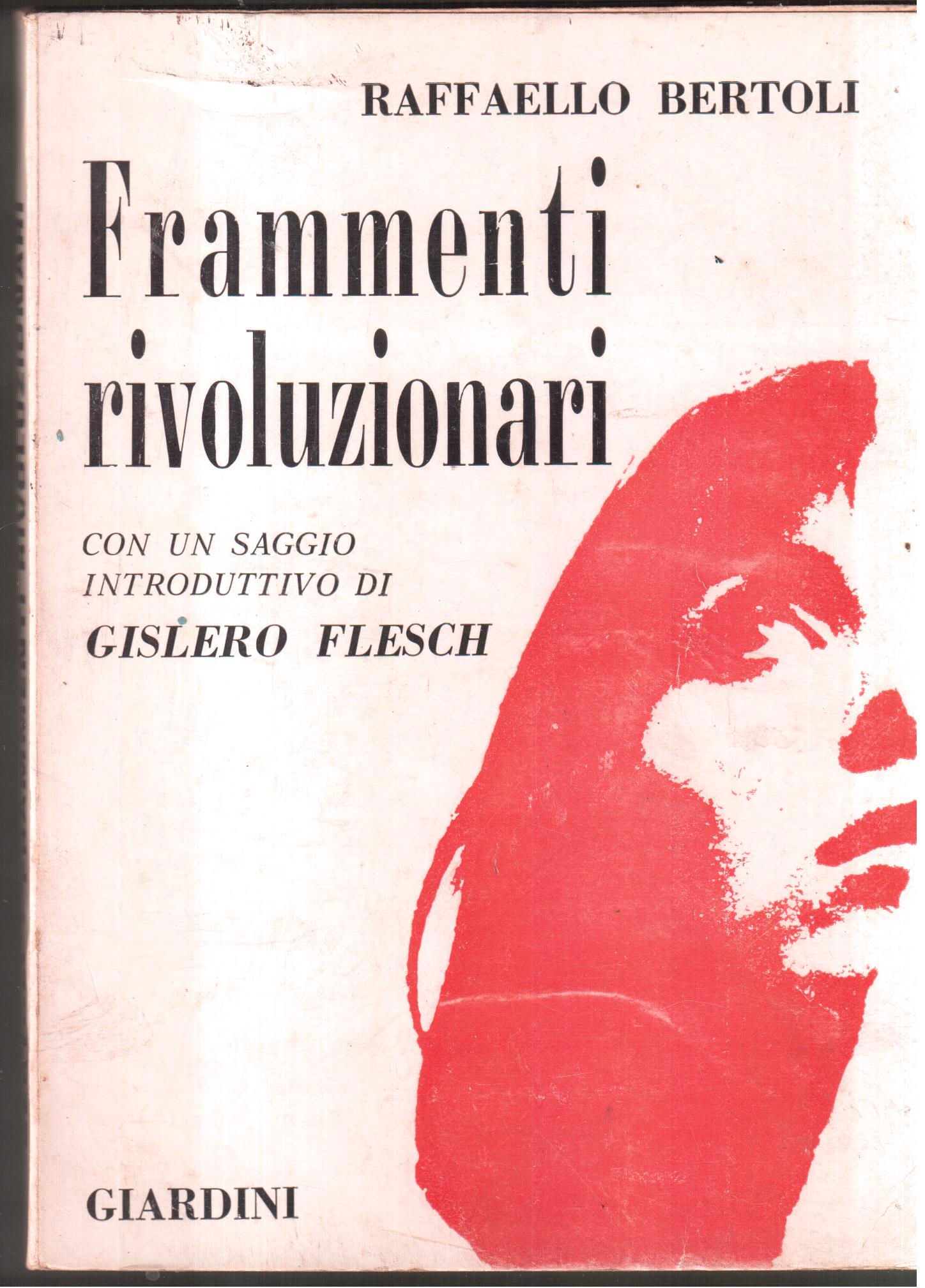 Frammenti rivoluzionari con un saggio introduttivo di Gislero Flesch