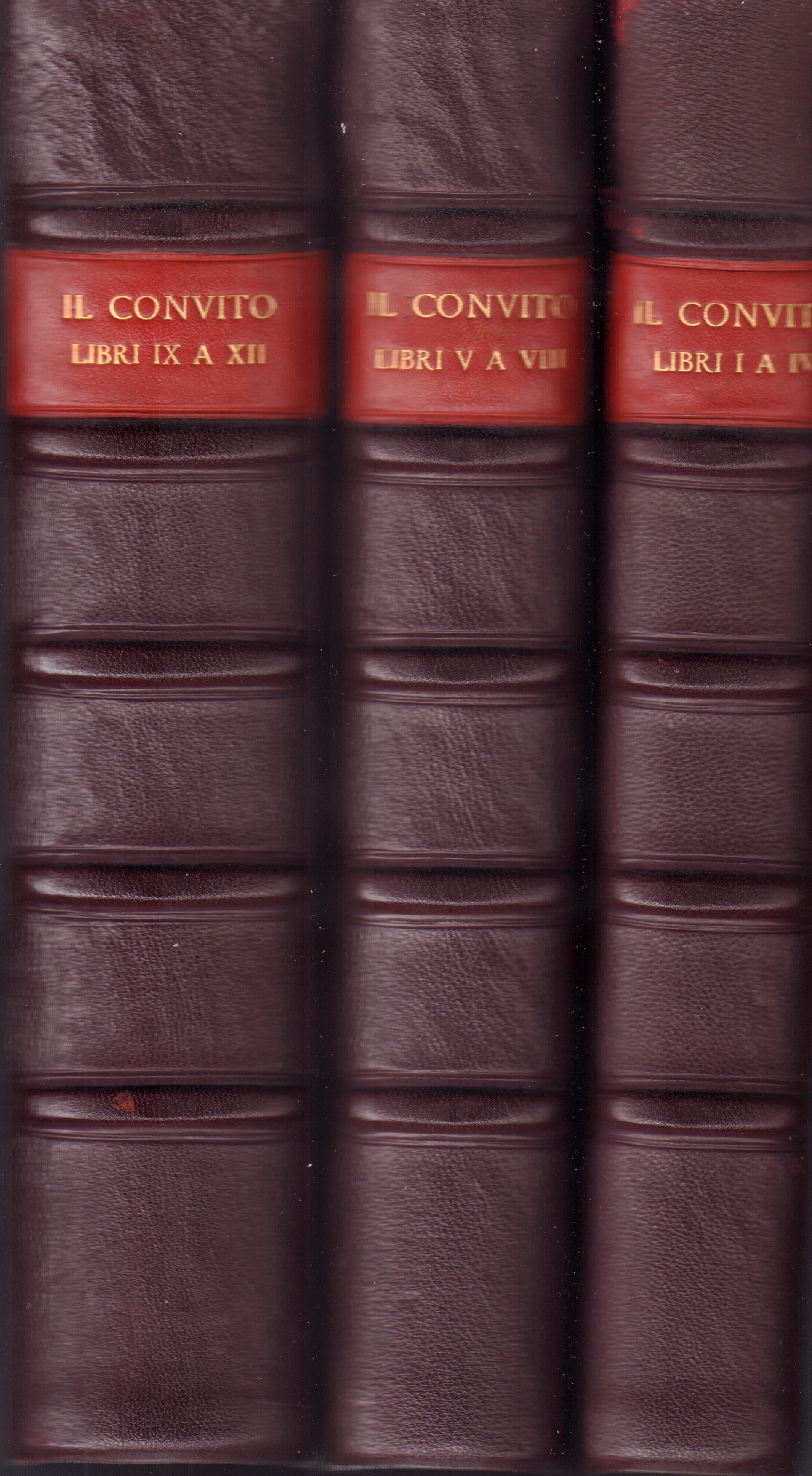 Il Convito-Rivista letteraria-Tutto il pubblicato 1895-1907