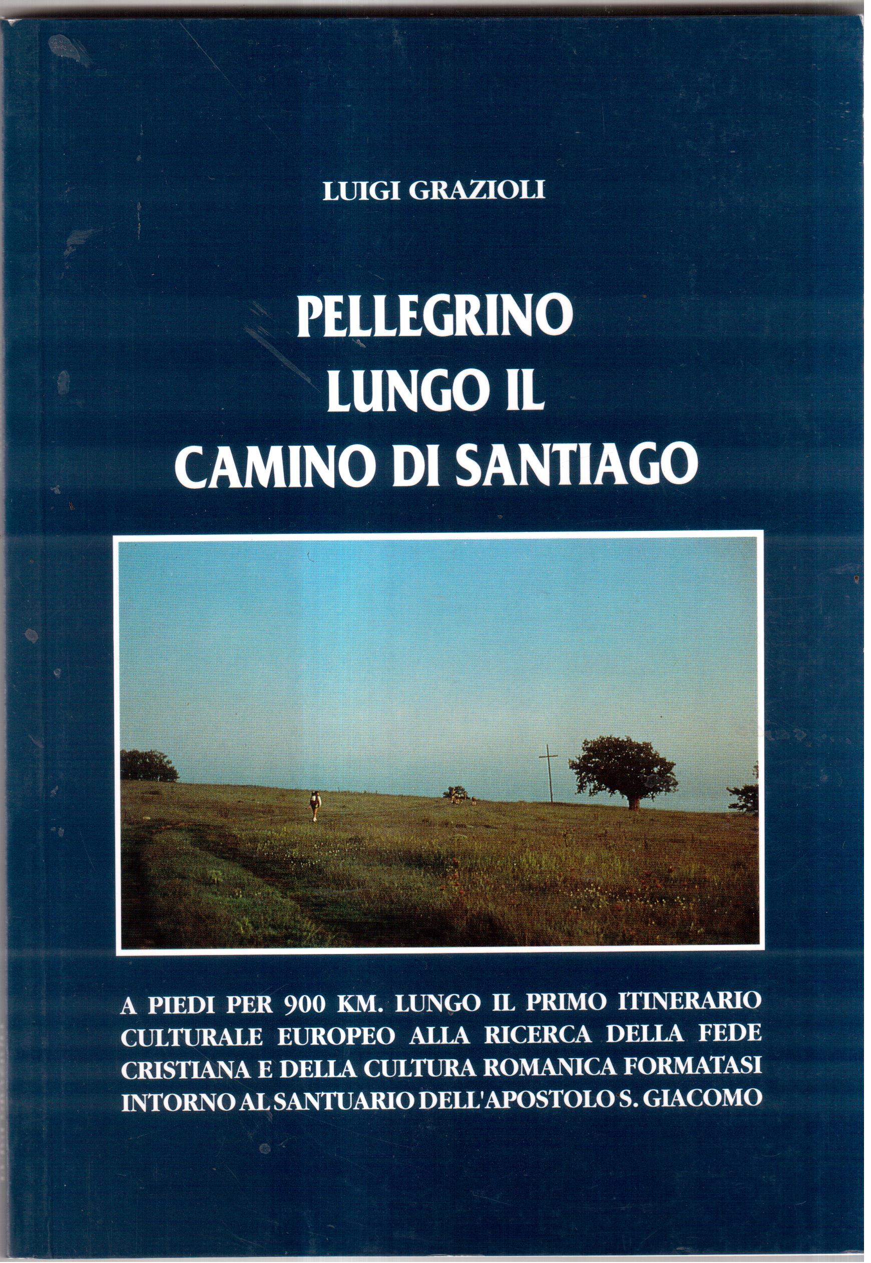 Pellegrino lungo il Camino di Santiago