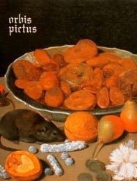 Orbis pictus. Natura morta in Germania, Olanda, Fiandre XVI-XVIII secolo