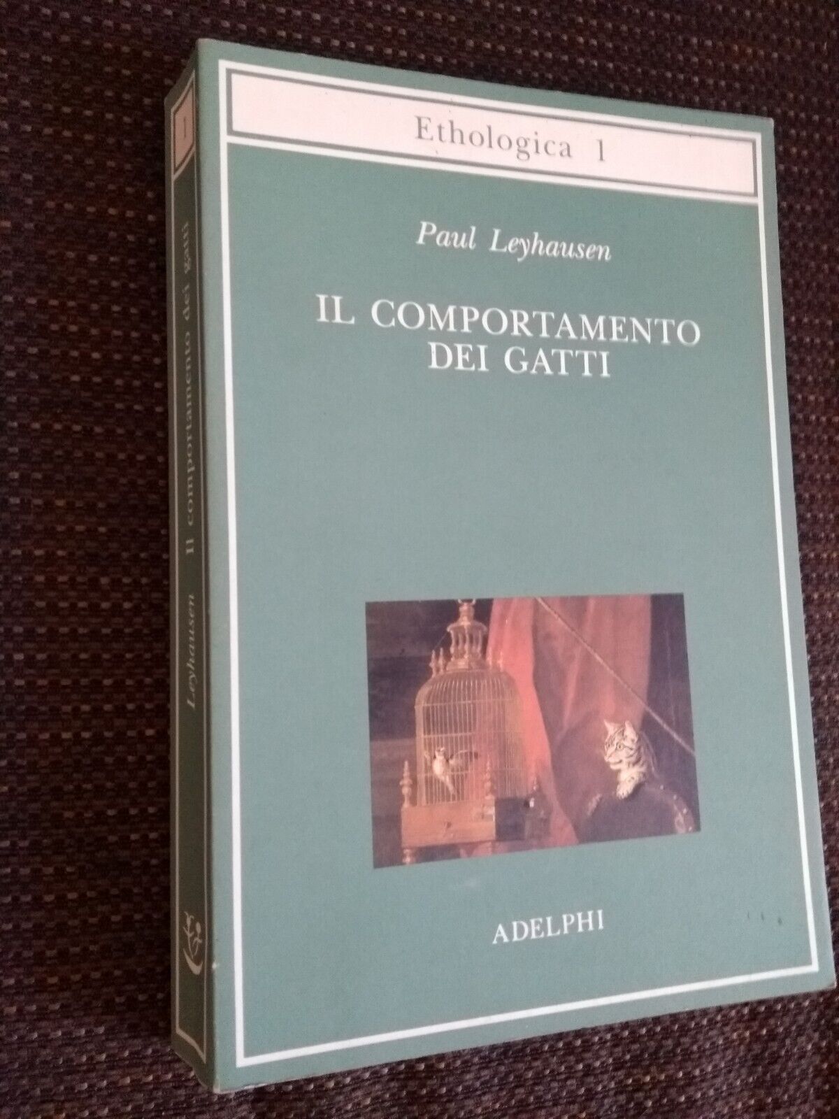 Il Comportamento Dei Gatti