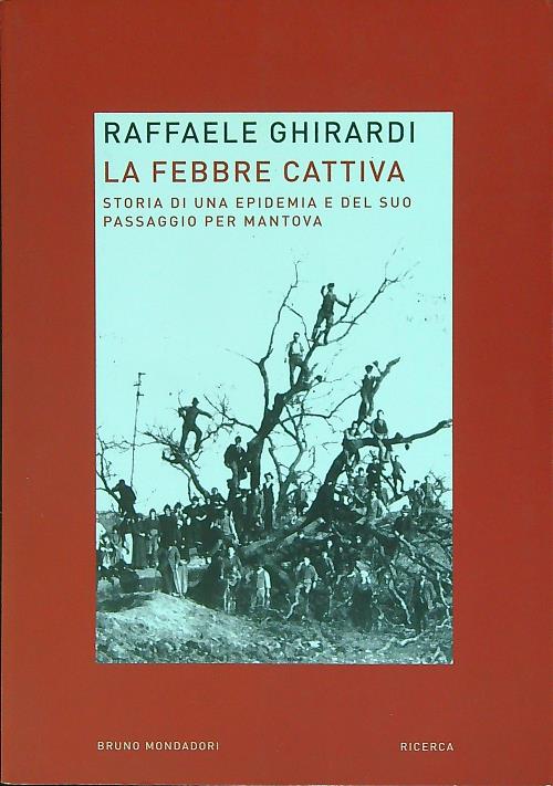 La febbre cattiva. Storia di un'epidemia e del suo passaggio …