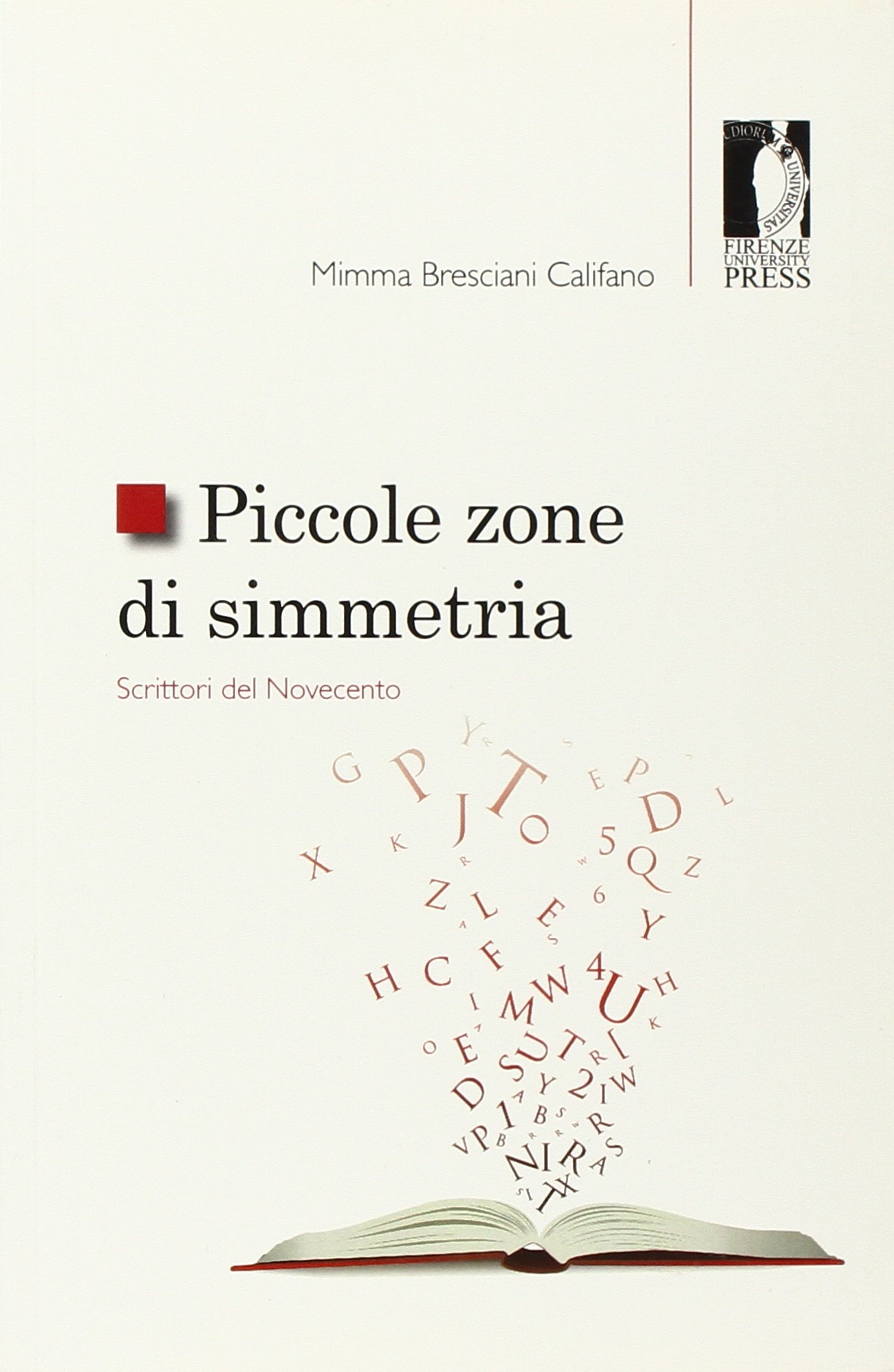 Piccole zone di simmetria. Scrittori del Novecento