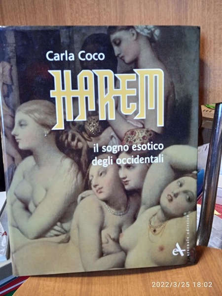 Harem il sogno esotico degli occidentali