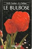 Le bulbose