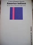 America indiana. Storia cultura situazione degli Indios