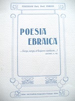 Poesia ebraica