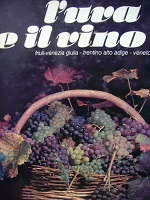 L'uva e il vino