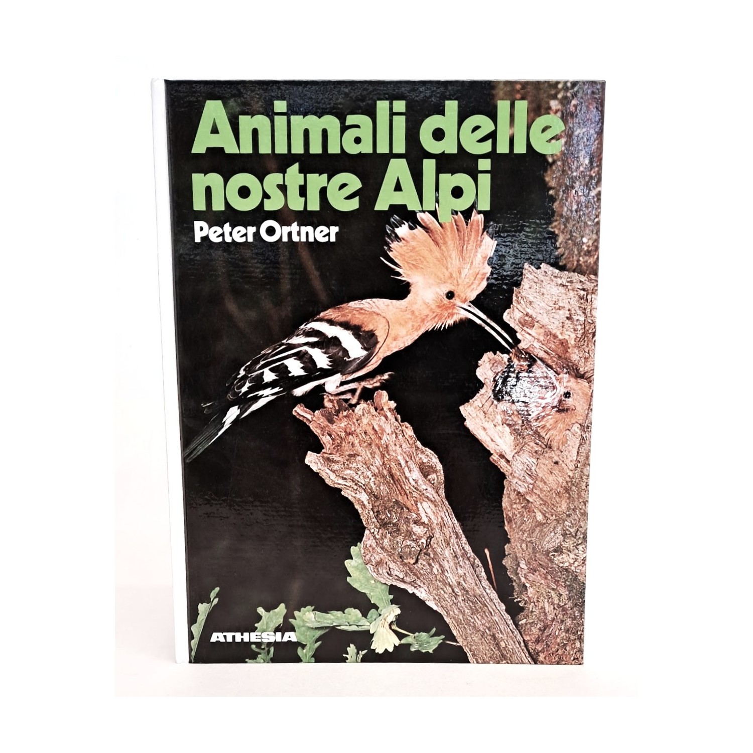 Animali delle nostre Alpi