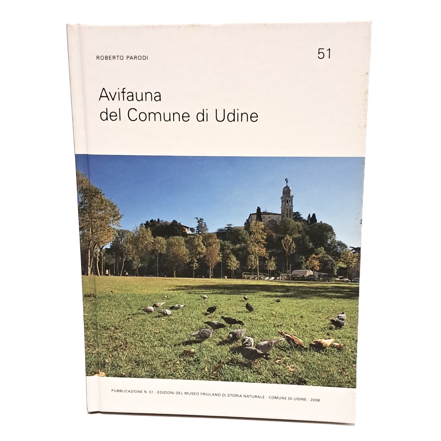 Avifauna del comune di Udine