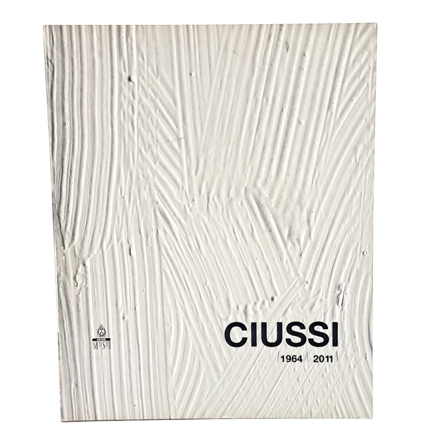 Ciussi 1964-2011. Tutte le visioni del colore