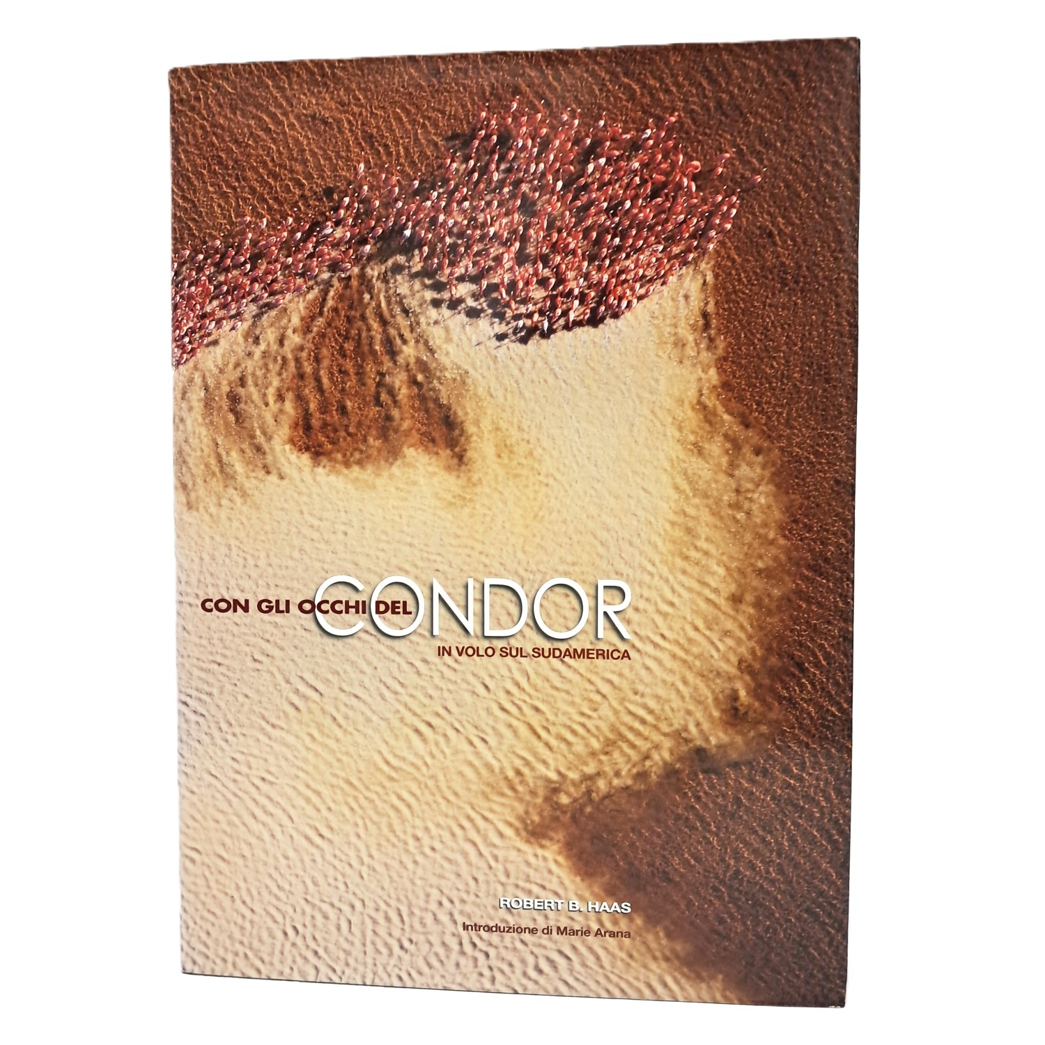 Con gli occhi del Condor. In volo sul Sudamerica