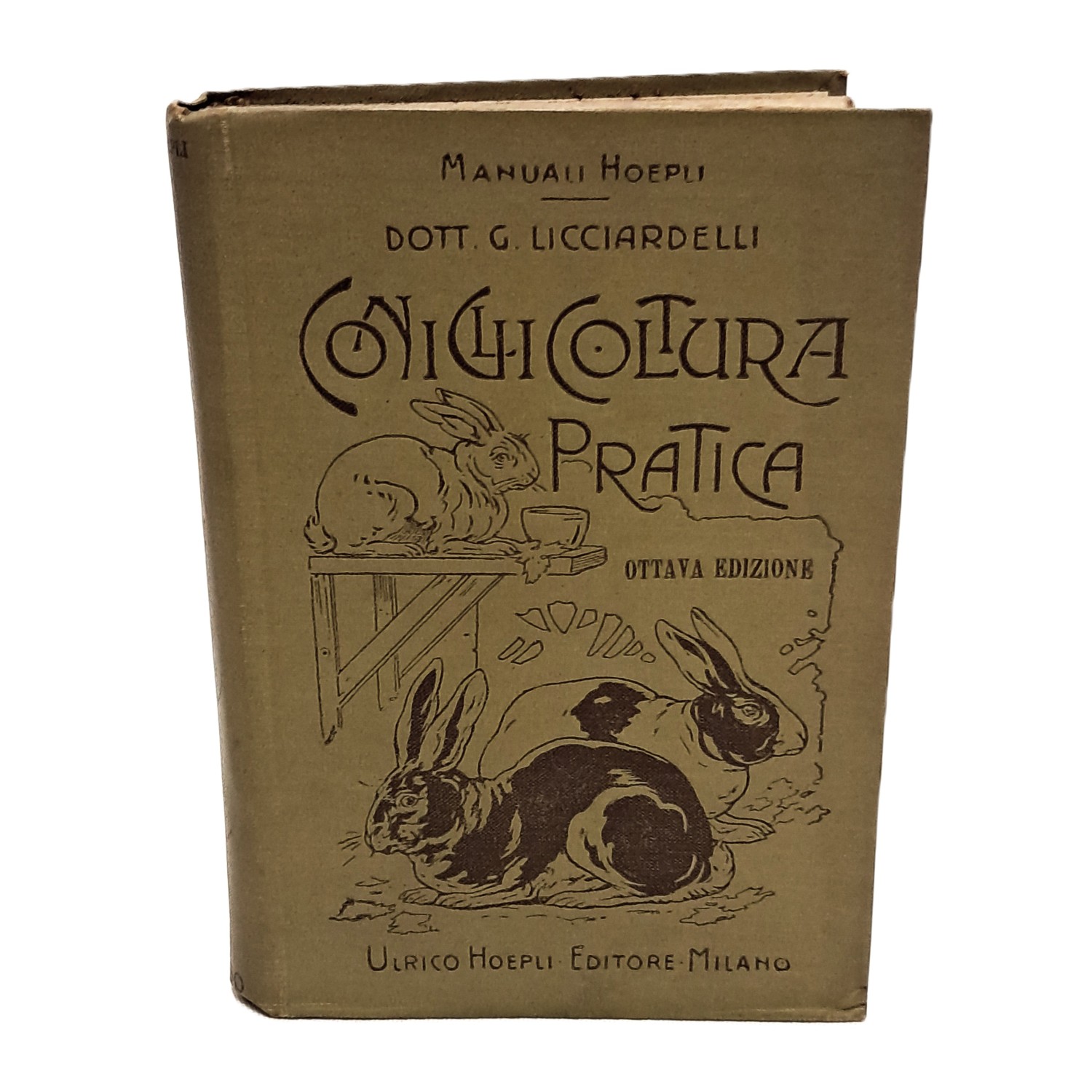 Coniglicoltura pratica