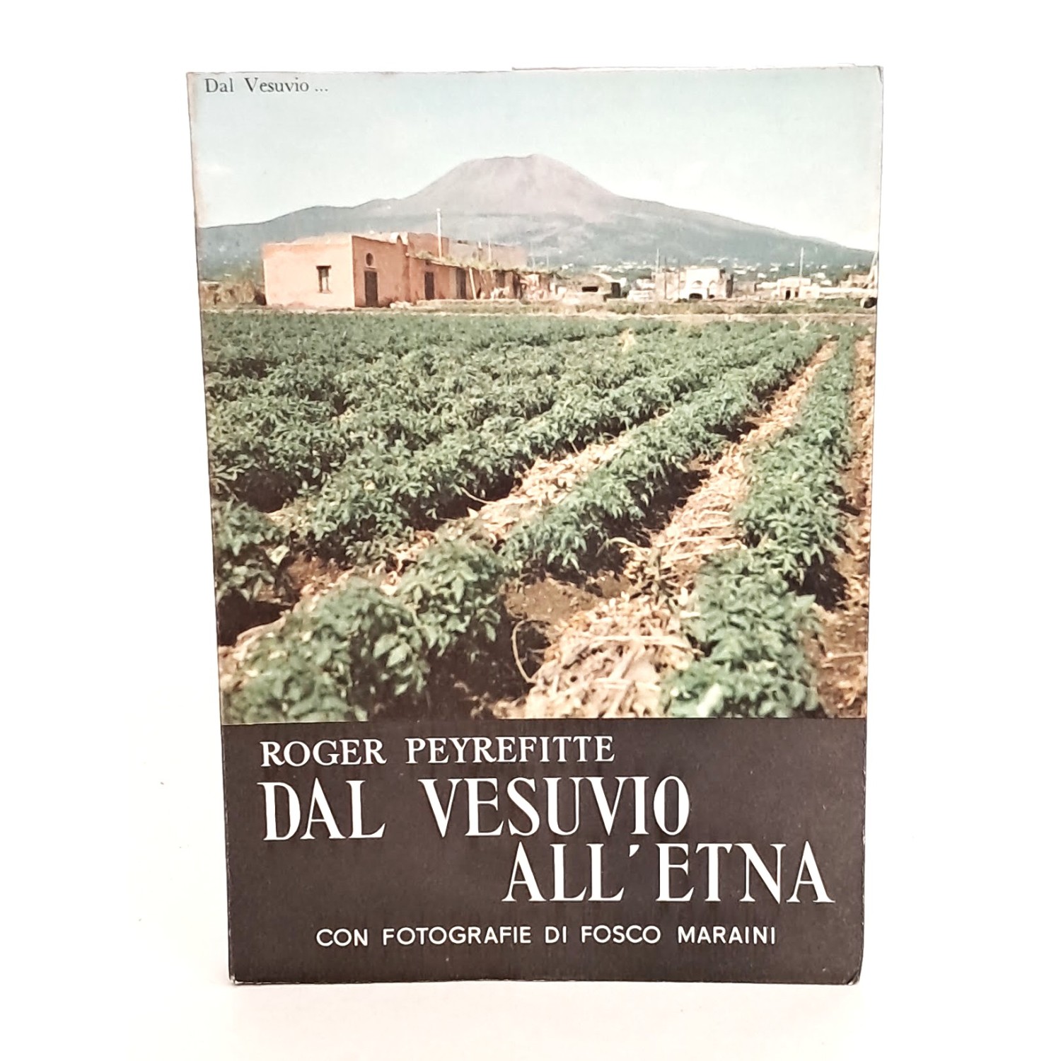 Dal Vesuvio all'Etna