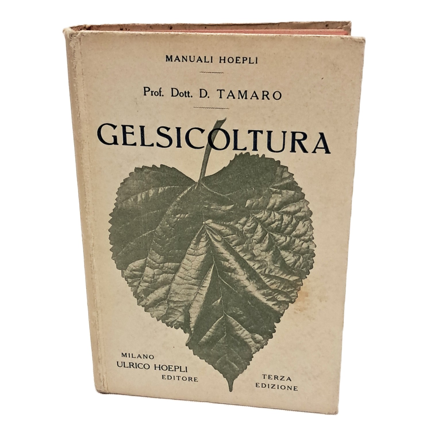 Gelsicoltura