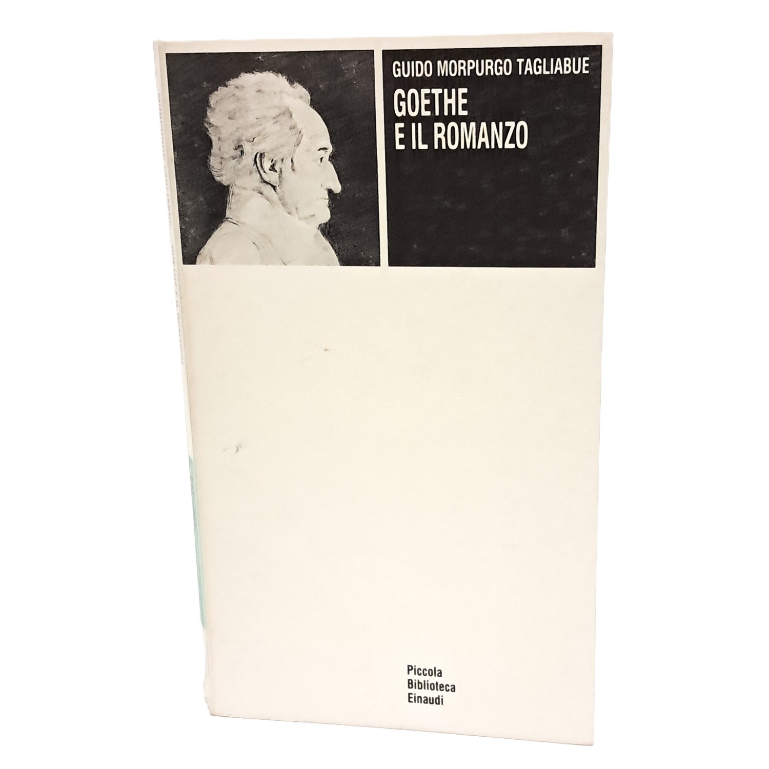 Goethe e il romanzo